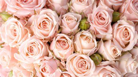 Suppléments - bouquets personnalisé