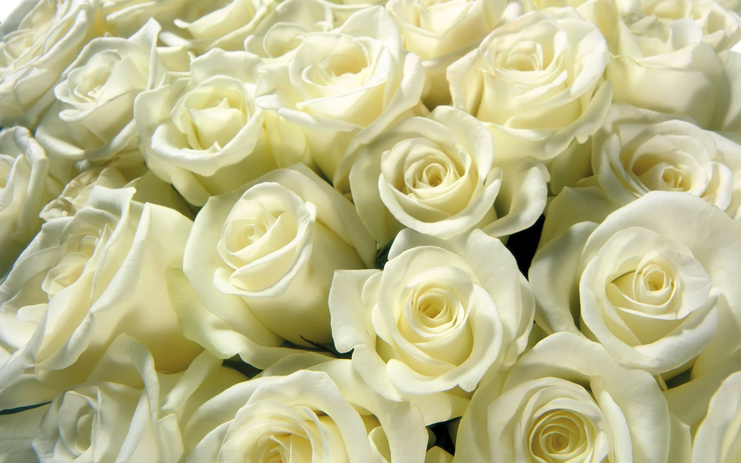 Suppléments - bouquets personnalisé